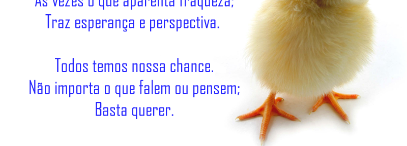Pintinho – Boas Novas